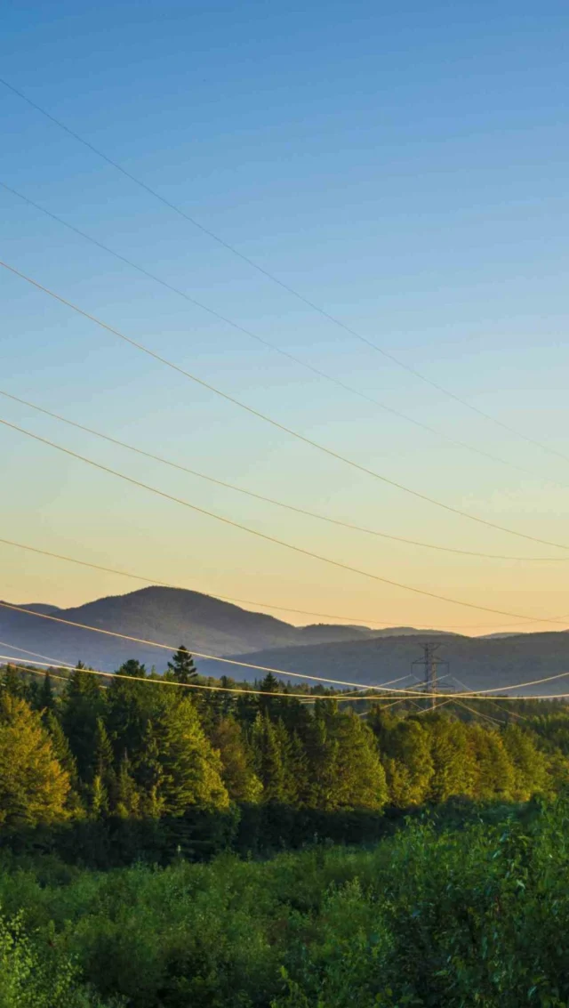 How much mileage can you get out of one dataset? Take a stroll with Eric and find out. 💡

Have questions or want to learn more? Reach out to Ashley at Ashley.taylor@firmatek.com or call 479-806-7111 — we’d love to connect!