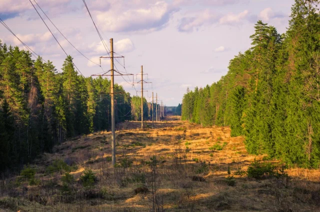 When disaster strikes, accurate data makes the difference. From wildfire mitigation to recovery efforts, Firmatek helps communities and industries prepare, protect, and rebuild with confidence. 

Learn more about our process through the link in our bio or give us a call at (479) 806-7111.